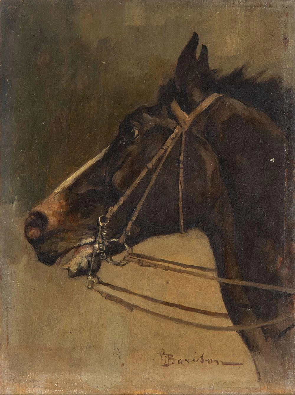 Testa di cavallo 1